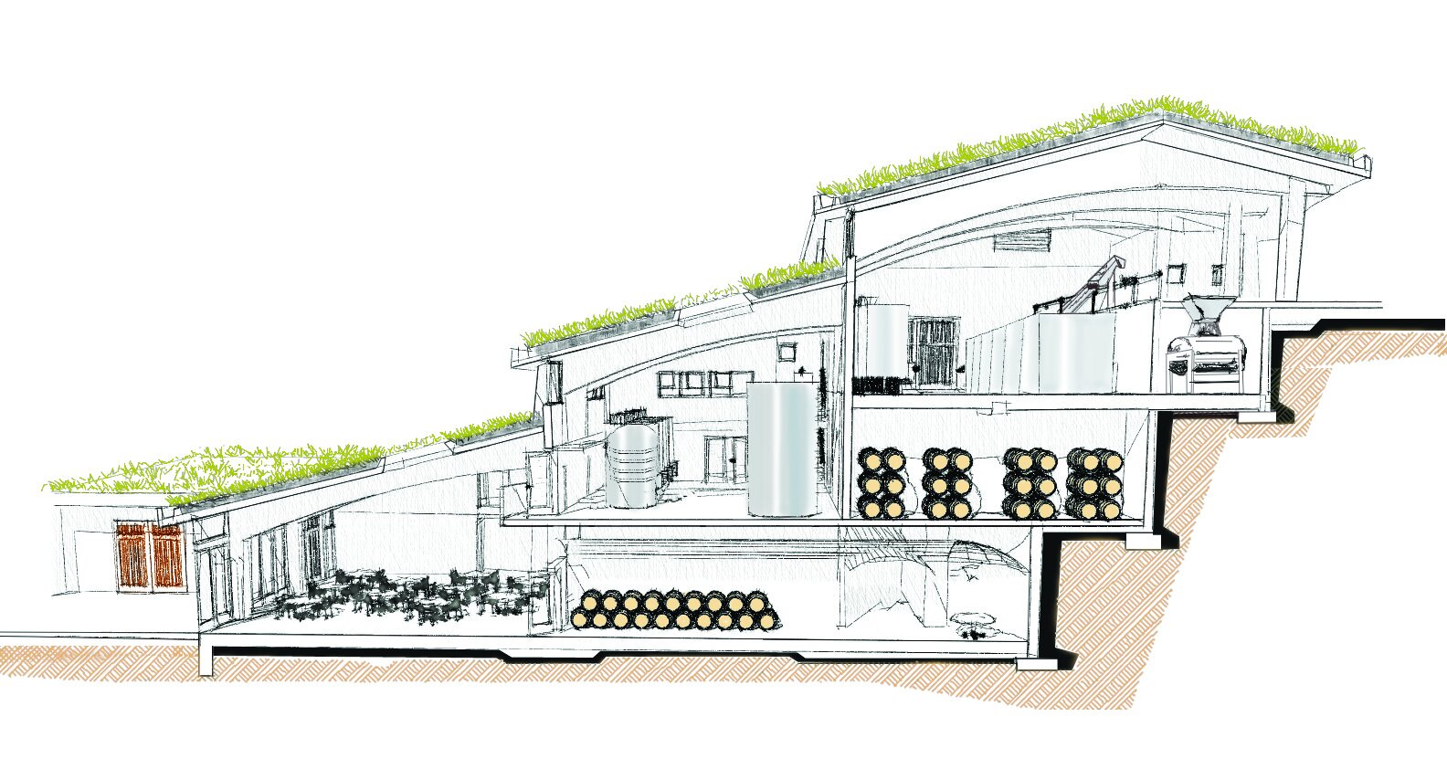 WE010 Cutaway view of winery Hi Res